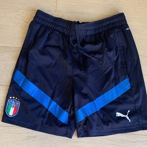 Puma Men's Navy and Royal Blue Athletic Shorts